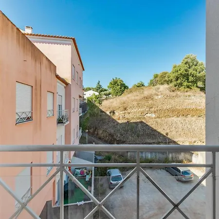 Rosa Apartment Torres Novas