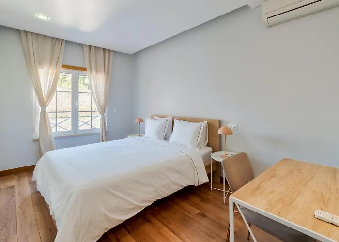 Rosa טורס נובאס